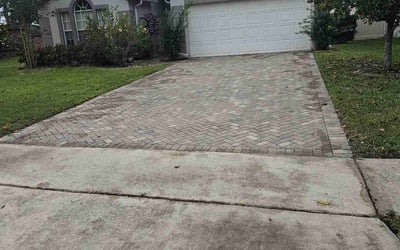 Photo of Terry L.'s yard after getting landscaping in Mid Florida, FL