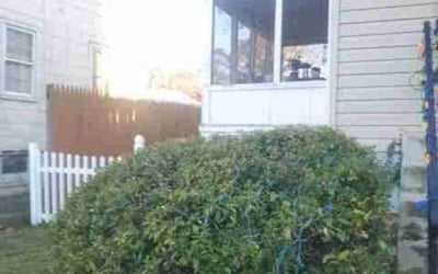 Photo of Rosa L.'s yard after getting tree care in Riverdale, MD