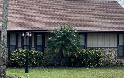 Photo of Vikki P.'s yard after getting tree care in Lake Helen, FL