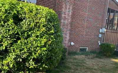 Photo of Lori P.'s yard after getting tree care in Harrisburg, PA