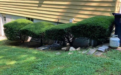 Photo of Melissa C.'s yard after getting landscaping in Seymour, CT