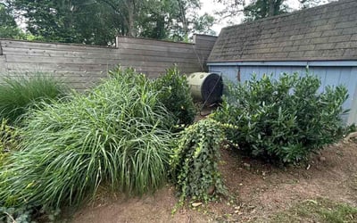 Photo of Sam S.'s yard after getting landscaping in Round Hill, VA