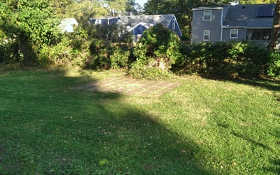 Photo of Nellie M. M.'s yard after getting landscaping in Holt, MO