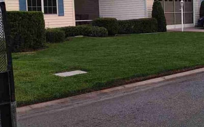 Photo of Paul S.'s yard after getting landscaping in Leesburg, FL