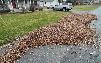 Photo of Vicki-Lynn H.'s yard after getting tree care in Reston, VA