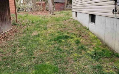 Photo of Kimberly M.'s yard after getting landscaping in Cape May Court House, NJ