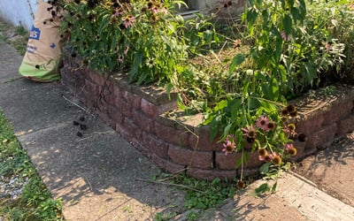 Photo of Alex B.'s yard after getting landscaping in Wilkes Barre, PA