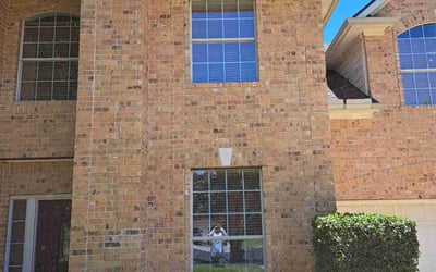 Photo of Kelly T.'s yard after getting tree care in Elgin, TX