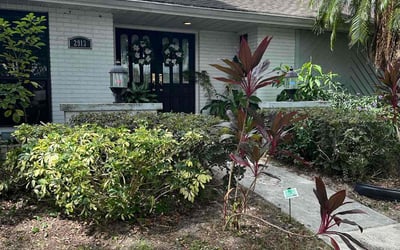 Photo of Rick S.'s yard after getting landscaping in Mango, FL