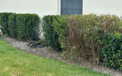 Photo of Thomas O.'s yard after getting landscaping in Barberville, FL