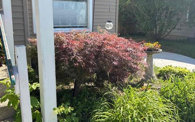 Photo of Bonnie M.'s yard after getting landscaping in Greenville, MI