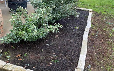 Photo of Alma R.'s yard after getting tree care in Grand Prairie, TX