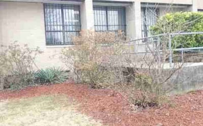 Photo of Todd T.'s yard after getting landscaping in Solomons, MD