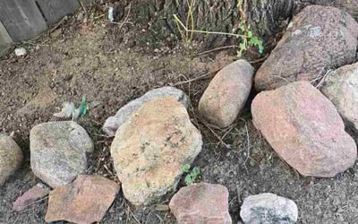 Photo of Joaquin C.'s yard after getting landscaping in Colorado Springs, CO