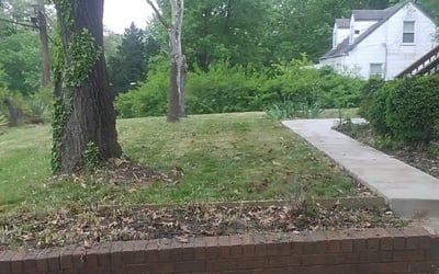 Photo of Christopher W.'s yard after getting landscaping in Benedict, MD