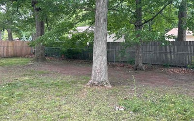 Photo of Amanda R.'s yard after getting landscaping in Muskegon, MI