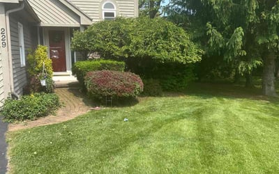 Photo of Christine J.'s yard after getting landscaping in Rochester, NY