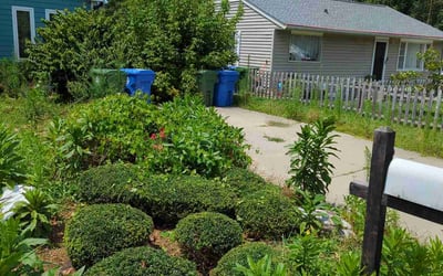 Photo of Michelle R.'s yard after getting landscaping in Canton, NC