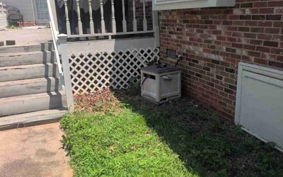 Photo of Audry W.'s yard after getting lawn care in Spartanburg, SC