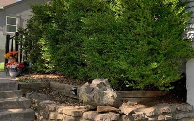 Photo of Megan H.'s yard after getting landscaping in Bonner Springs, KS