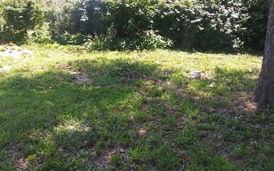 Photo of Brian B.'s yard after getting landscaping in Jones, OK