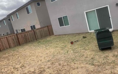Photo of Jamillah O.'s yard after getting landscaping in Bakersfield, CA