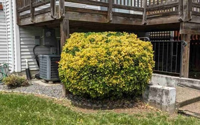Photo of Cheryl P.'s yard after getting landscaping in Lorton, VA