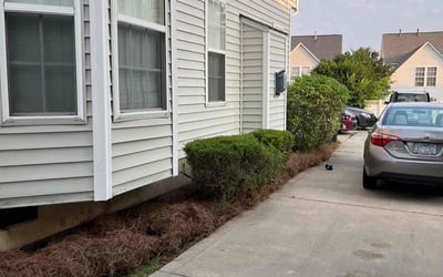 Photo of Sarah M.'s yard after getting landscaping in Mc Connells, SC