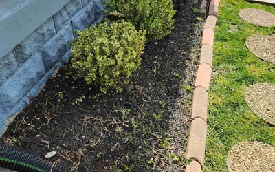 Photo of Dixie S.'s yard after getting tree care in Anderson, IN