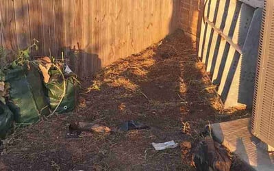 Photo of Alex W.'s yard after getting tree care in Tulsa, OK