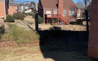 Photo of Robert F.'s yard after getting landscaping in Madison, GA