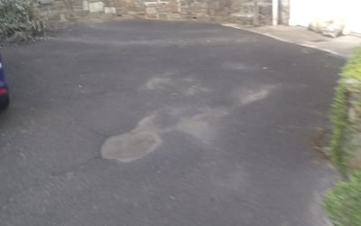 Photo of Tim C.'s yard after getting landscaping in Marcus Hook, PA