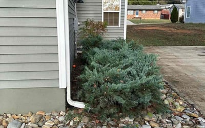 Photo of Zar O.'s yard after getting tree care in Maryville, TN