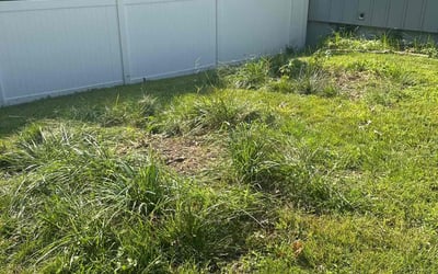 Photo of Amber C.'s yard after getting landscaping in Lansing, KS