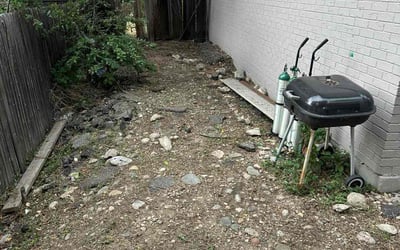 Photo of Valerie M.'s yard after getting tree care in Castle Rock, CO