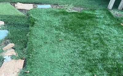 Photo of Mathilde T.'s yard after getting tree care in El Cajon, CA