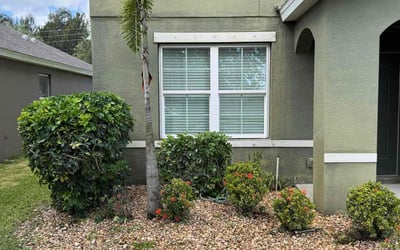 Photo of Mark H.'s yard after getting landscaping in Melbourne, FL