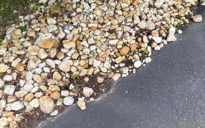 Photo of Richard B.'s yard after getting landscaping in Newtown, PA