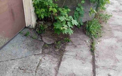 Photo of Alison H.'s yard after getting landscaping in Sussex, WI