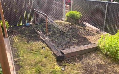 Photo of Michael L.'s yard after getting landscaping in Aurora, OR
