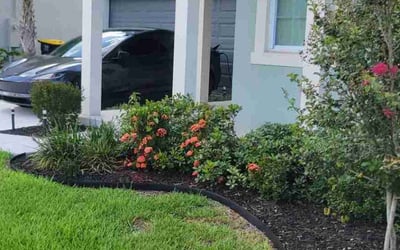 Photo of Aaron S.'s yard after getting landscaping in Fort Meade, FL