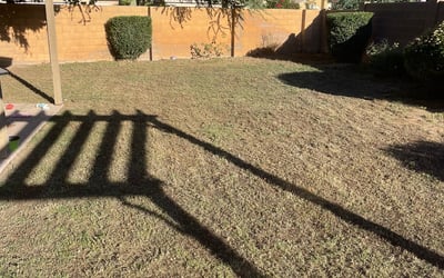 Photo of Ravi G.'s yard after getting tree care in Fountain Hills, AZ