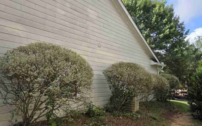 Photo of David D.'s yard after getting landscaping in Auburn, GA