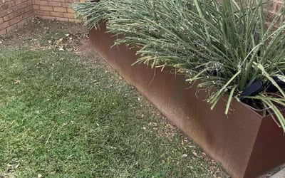 Photo of Courtney A.'s yard after getting landscaping in Lubbock, TX