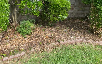 Photo of Steven R.'s yard after getting landscaping in Commerce, TX