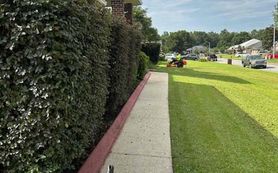Photo of Sharon W.'s yard after getting landscaping in Milton, FL