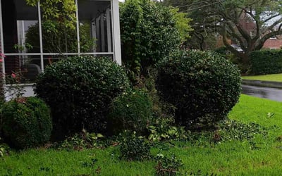 Photo of Frances P.'s yard after getting landscaping in Corapeake, NC