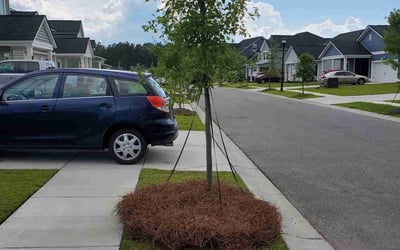 Photo of Vickie O.'s yard after getting tree care in Moncks Corner, SC