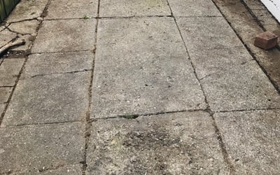 Photo of Sam B.'s yard after getting landscaping in White Lake, MI