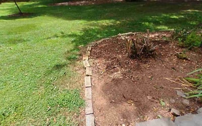 Photo of Brandi B.'s yard after getting landscaping in Peachtree City, GA